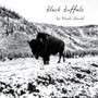 Black Buffalo