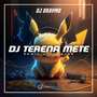 DJ Terena Mete Slow Bass - Inst