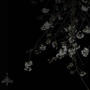 I DONT FEEL THE PAIN (Explicit)