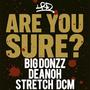 Are You Sure? (feat. Big Donzz, Deanoh & Stretch DCM) [Explicit]