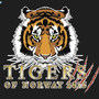 Tigers of Norway 2015