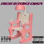 THESE B!TCHES CRAZY (Explicit)