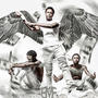 TOP BIRD (Explicit)