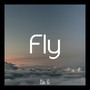 Fly