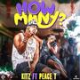 How Many (feat. Peace T) [Explicit]