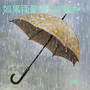 如果雨是天空的谜语