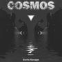 Cosmos