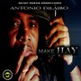 Make Hay - Single