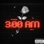 3AM (feat. Nystrovin) [Explicit]