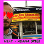 Adana Spieß (Kebapland Love)