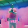 MOLLY (Explicit)