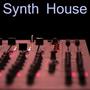 Synth House