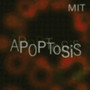 Apoptosis