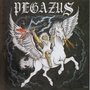 Pegazus