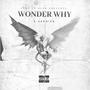 Wonder Why (feat. 303FRANK & Scooter Loc) [Explicit]