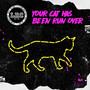 Your Cat Has Been Run Over