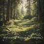 Forest Calm: Nature Sounds for Sleep