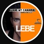 Lebe (Nadine Ktari Vocal Mix)