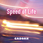 Speed of Life