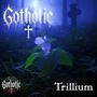 TRILLIUM