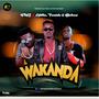 WAKANDA (feat. Tomide,ATILLA SHAMAYAN & Bjshow)