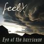 Eye of the hurricane (feat. Pete Borel, Adrian Studer & Dédé Felix)