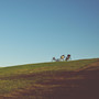 Play Ground