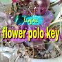 flower polo key