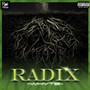 Radix (Explicit)