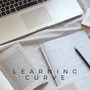 Learning Curve