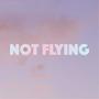 Not Flying