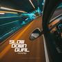 Slow Down Gurl (feat. Skypp)