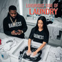 Luxurious Side of Laundry