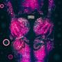 GINYAH (Explicit)