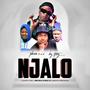 Njalo (feat. Leon lee & Seven step Lebza mfana)