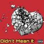 Didn't Mean It (Explicit)