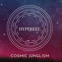 Cosmic Junglism