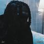 Unstable (Explicit)