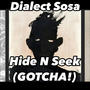 Hide N Seek (Gotcha!) [Explicit]