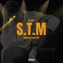 S.T.M (Should've told me) [Explicit]