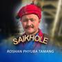 Saikhole
