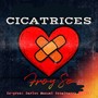 CICATRICES