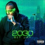 2030 (Explicit)