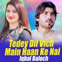 Tedey Dil Vich Main Haan Ke Nai