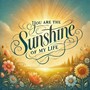 You Are the Sunshine of My Life (Explicit)