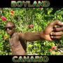 Boyland Canario, Vol. 1