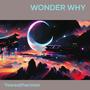 Wonder Why (Explicit)