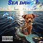 Sea dawg ? (Explicit)