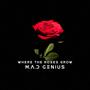 Where The Roses Grow (Radio Edit)