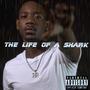 The Life Of A Shark (Explicit)